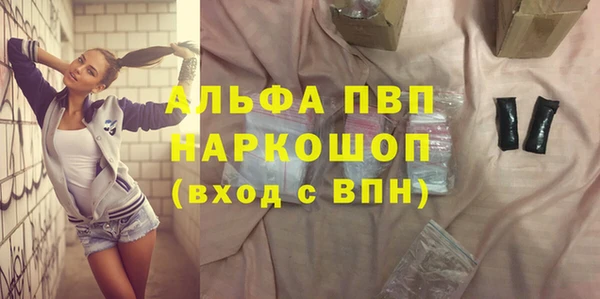 соль ск Новозыбков