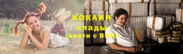 гашик Абинск