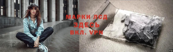 соль ск Новозыбков