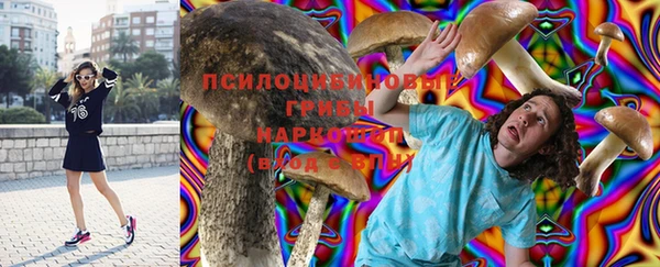 гашик Абинск