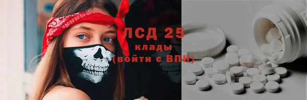 СК Новодвинск