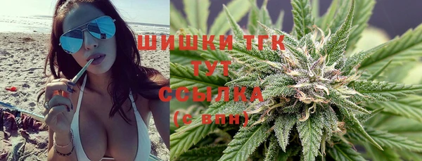 СК Новодвинск