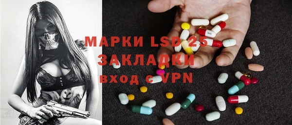 соль ск Новозыбков