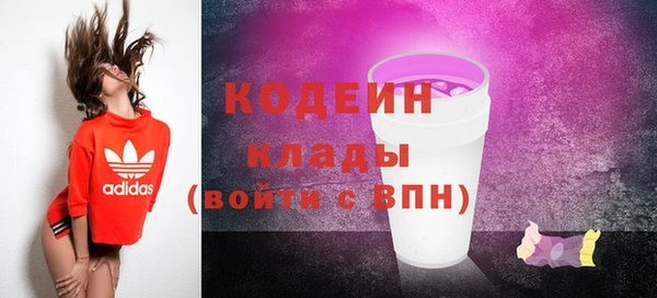 СК Новодвинск