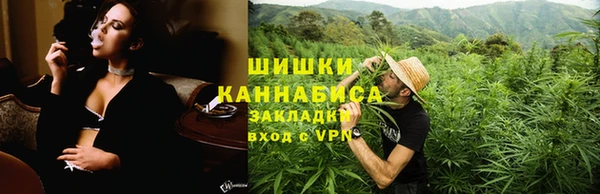 соль ск Новозыбков