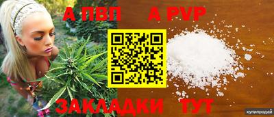 амфетамин Гатчина