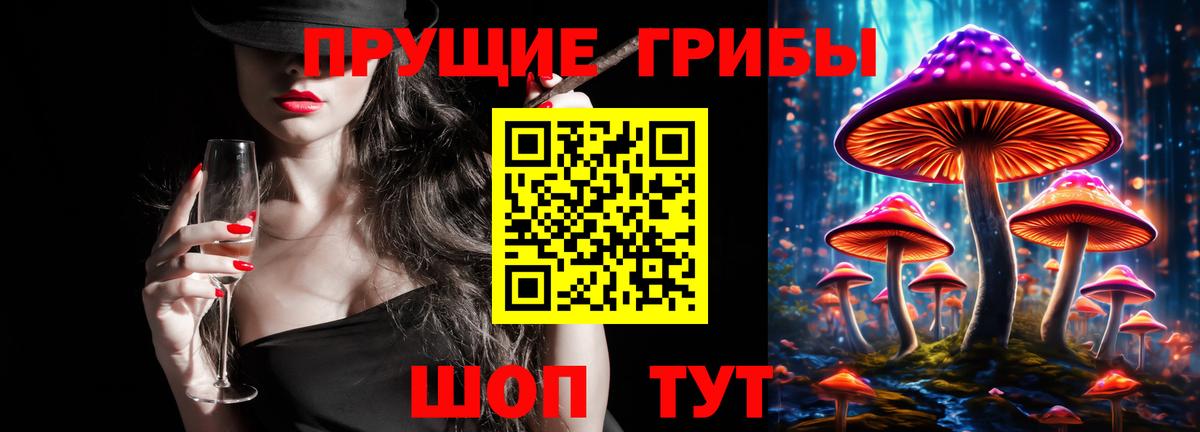 цены наркотик  Галлюциногенные грибы мицелий  Вход с VPN  Скопин 