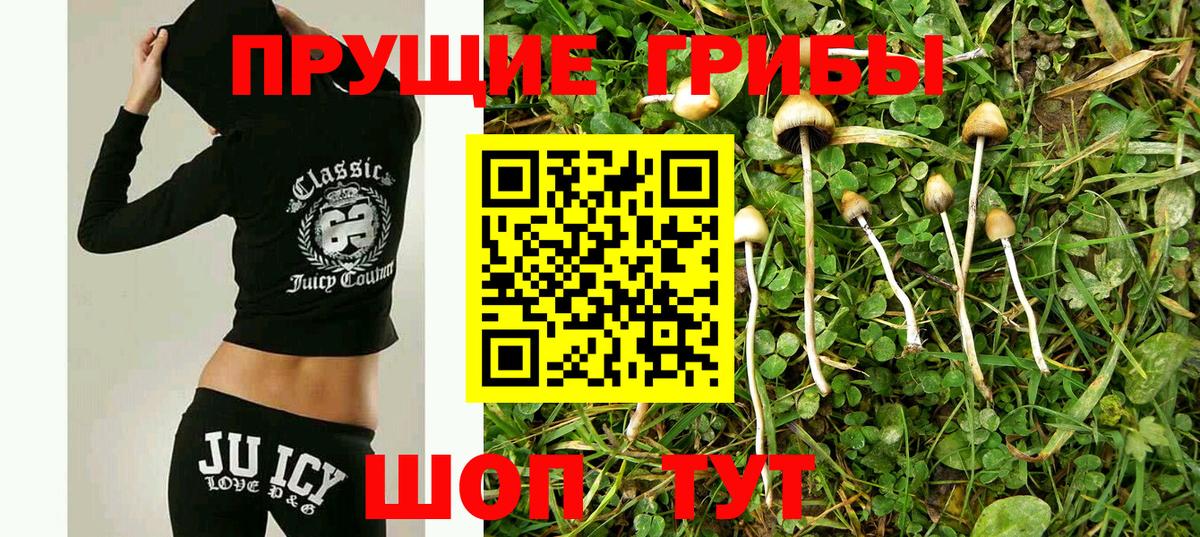 Галлюциногенные грибы мицелий  Скопин 